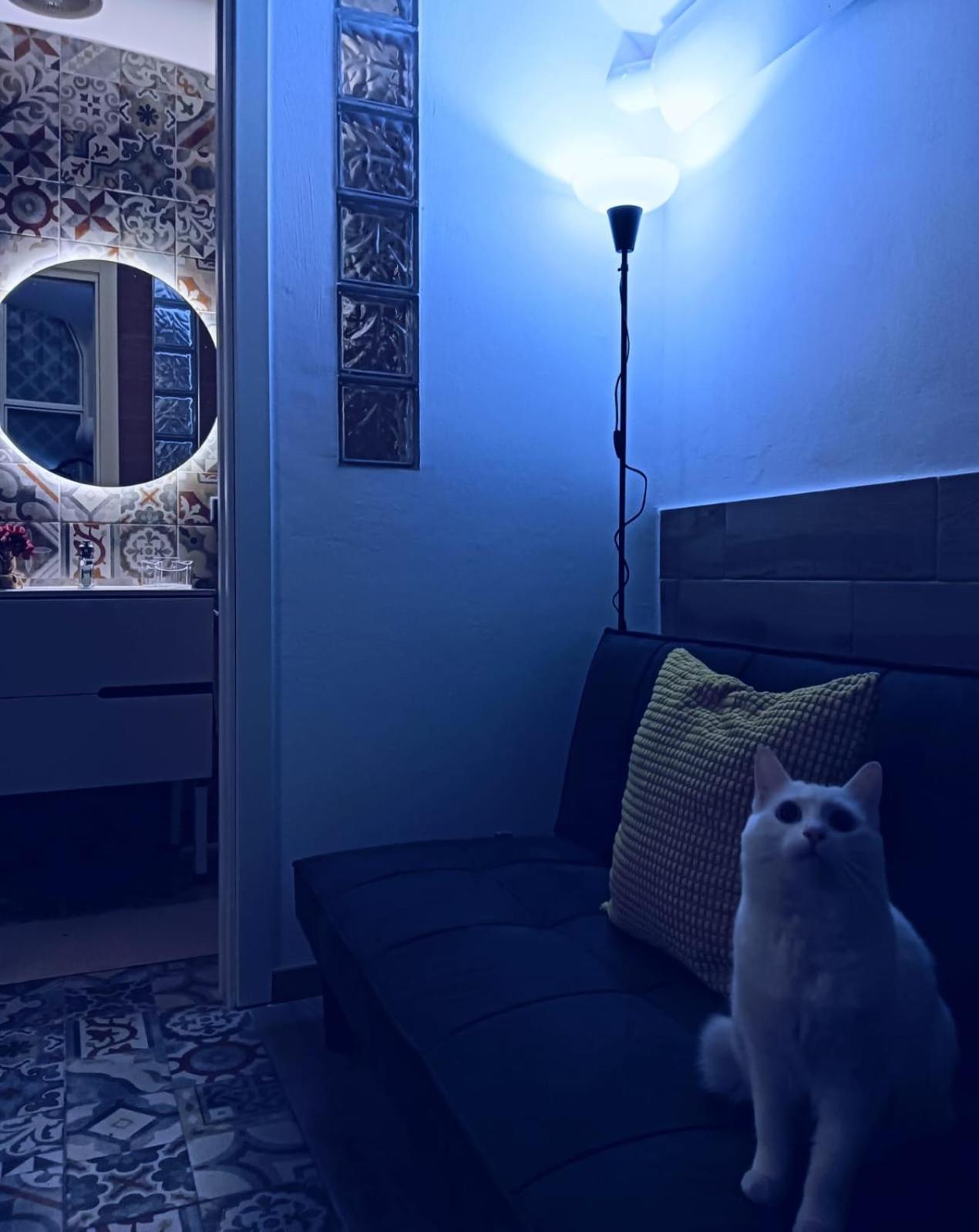 The White Cat Villa Napoli Eksteriør bilde